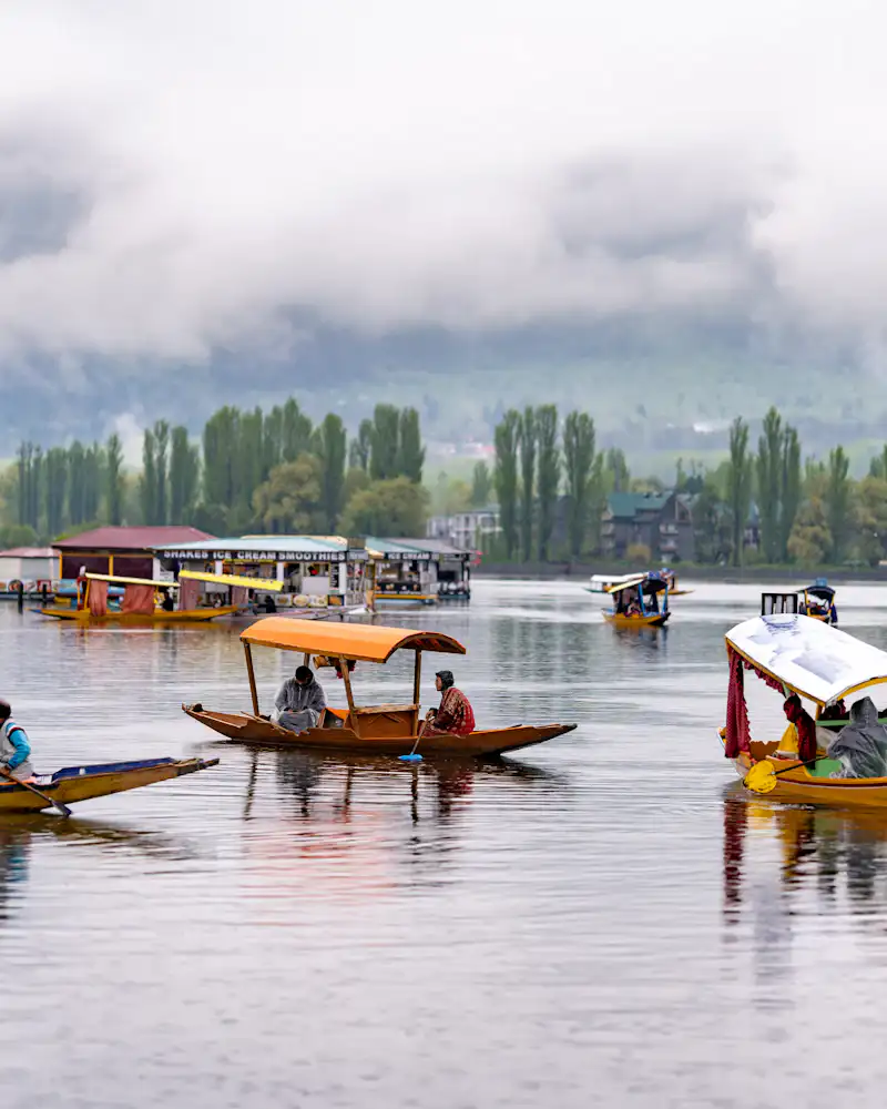 Shikaras on Dal Lake, Kashmir