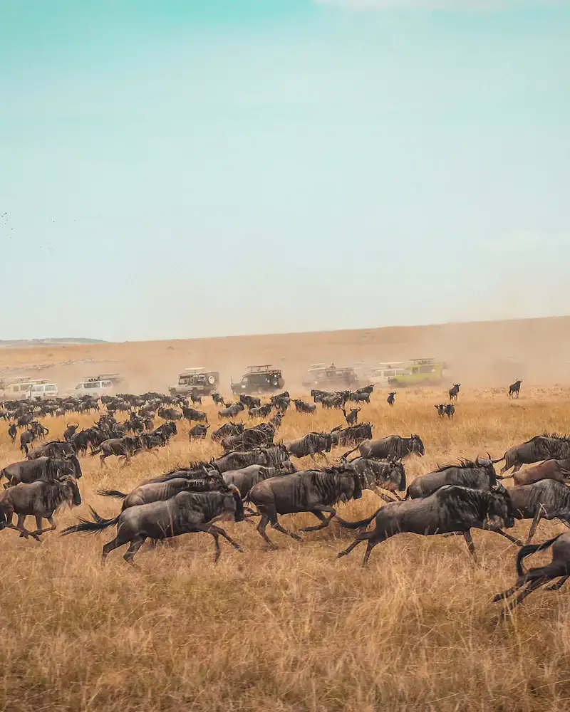 Kenya